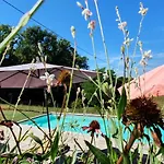 Le Clos D'o Maison De Charme La Salamandre Avec Sa Piscine Chauffee Proche De Sarlat *