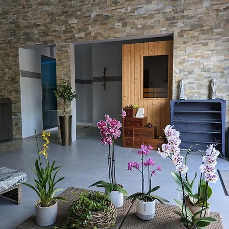 Le Clos D'o Maison De Charme La Salamandre Avec Sa Piscine Chauffee Proche De Sarlat Holiday home