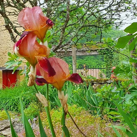 Le Clos D'ô Maison De Charme La Salamandre Avec Sa Piscine Chauffée Proche De Sarlat