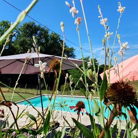Le Clos D'o Maison De Charme La Salamandre Avec Sa Piscine Chauffee Proche De Sarlat *